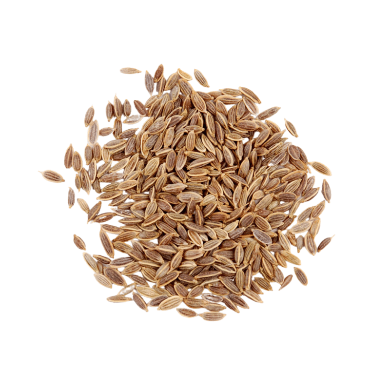 Dill Seeds – SAFA Middle Eastern